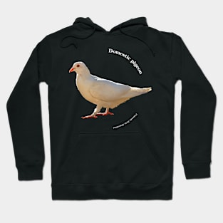 Domestic pigeon walking pin white text Hoodie